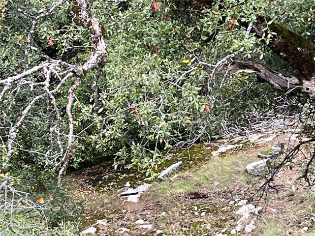 Detail Gallery Image 8 of 12 For 0 Jean Rd, Oakhurst,  CA 93644 - – Beds | – Baths