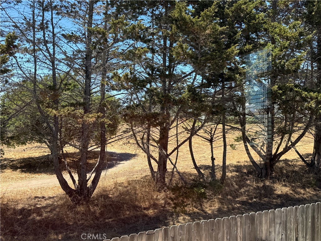 https://media.crmls.org/medias/b512b860-904e-49cb-ac22-1259faf321e5.jpg?preset=X-Large