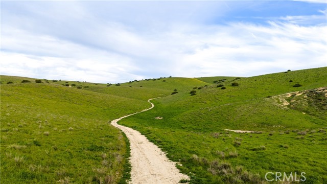 Detail Gallery Image 17 of 44 For 8050 Bitterwater Road, Shandon,  CA 93461 - 3 Beds | 1 Baths