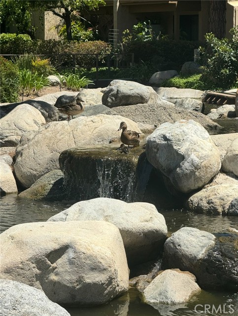 Detail Gallery Image 3 of 9 For 124 Tangelo Unit 390, Irvine,  CA 92618 - 2 Beds | 1 Baths