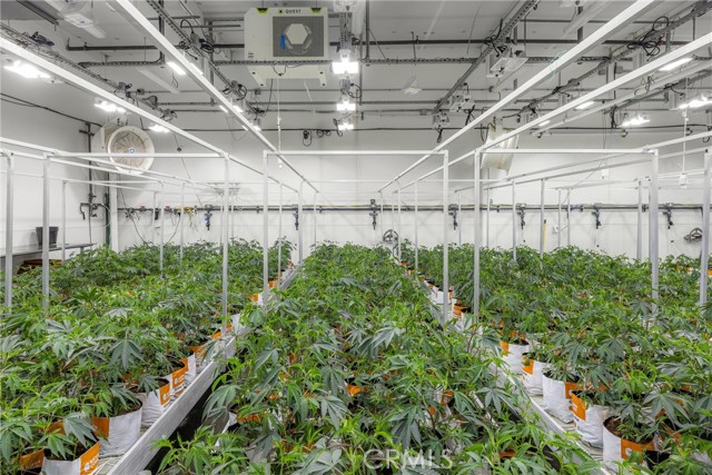 Image 31 of 54 For 44211 Yucca