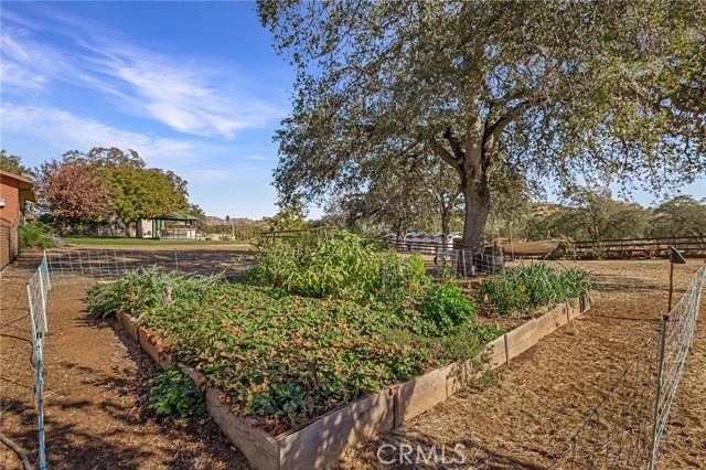 Detail Gallery Image 45 of 67 For 3811 Echo Mountain Road, Butte Valley,  CA 95965 - 5 Beds | 4/2 Baths