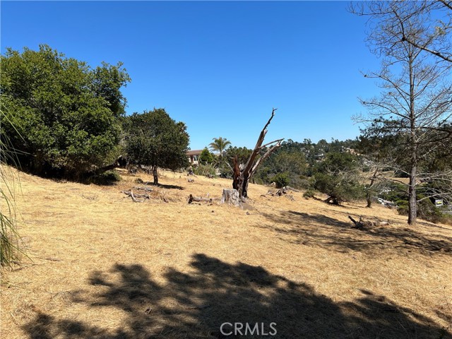 4925 Grove Street, Cambria, California 93428, ,Land,For Sale,4925 Grove Street,CRSC23001880