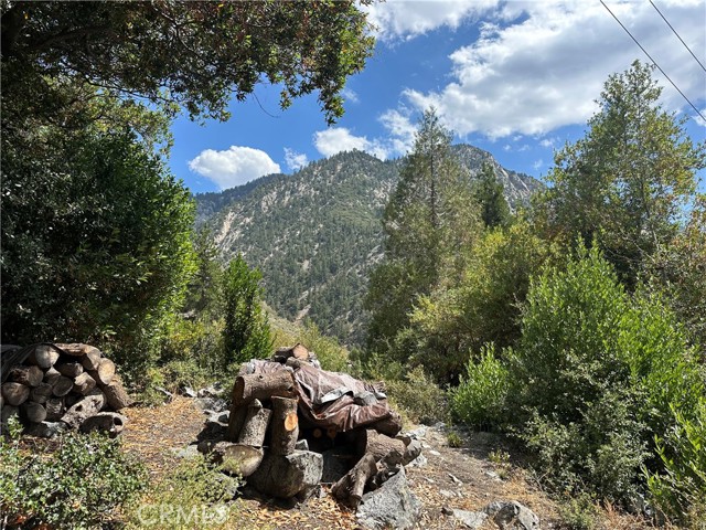 Detail Gallery Image 13 of 13 For 49 Ice House Canyon Rd, Mt Baldy,  CA 91759 - 1 Beds | 1 Baths