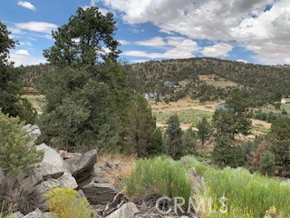 0 Ponderosa, Big Bear City, California 92314, ,Land,For Sale,0 Ponderosa,CROC20150732