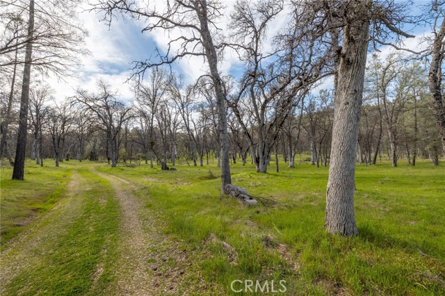 Detail Gallery Image 12 of 22 For 5328 E Whitlock, Mariposa,  CA 95338 - – Beds | – Baths