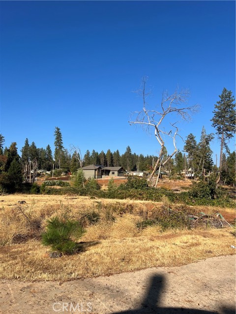 1579 Wagstaff Road, Paradise CA: https://media.crmls.org/medias/b5494b9e-f98e-4214-b751-2a95405b7139.jpg