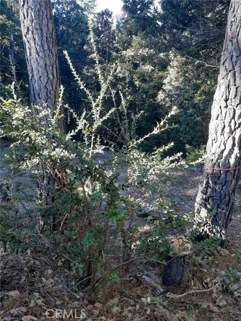 Detail Gallery Image 29 of 58 For 38160 Ocean Ridge Dr, Gualala,  CA 95445 - – Beds | – Baths