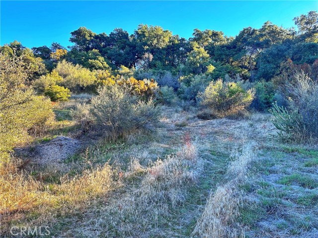 0 Camino Ortega, Warner Springs, California 92086, ,Residential Land,For Sale,Camino Ortega,ND24129069