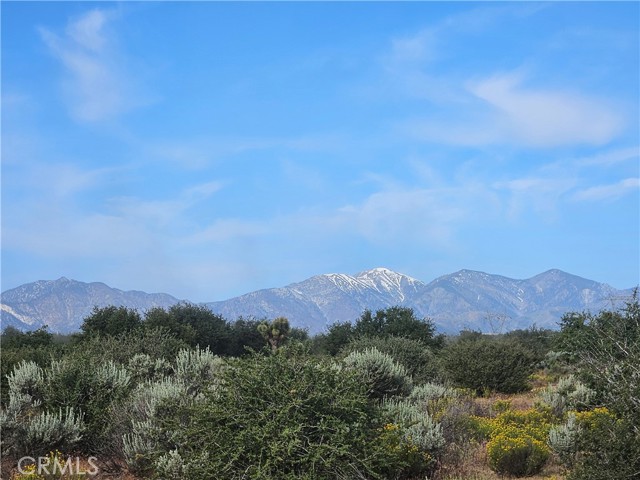 Front Image Thumbnail for CRCV26084226