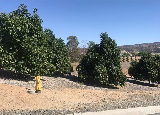 38538 Martin Ranch Road, Temecula CA: https://media.crmls.org/medias/b558eadc-4463-4f8f-85ed-b86aa99e8dfd.jpg