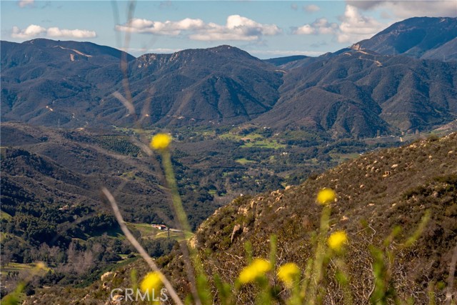 0 Crumley, Temecula, California 92590, ,Land,For Sale,0 Crumley,CRSW24035952