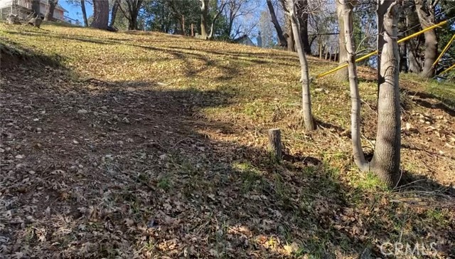 Front Image Thumbnail for CRIV26075025