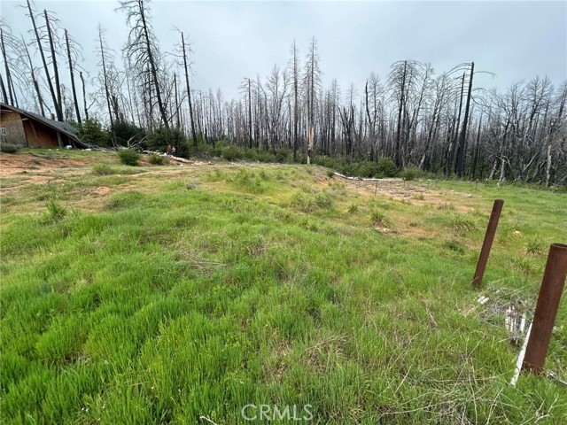 Detail Gallery Image 4 of 14 For 83 Oak Tree Lane, Berry Creek,  CA 95916 - – Beds | – Baths