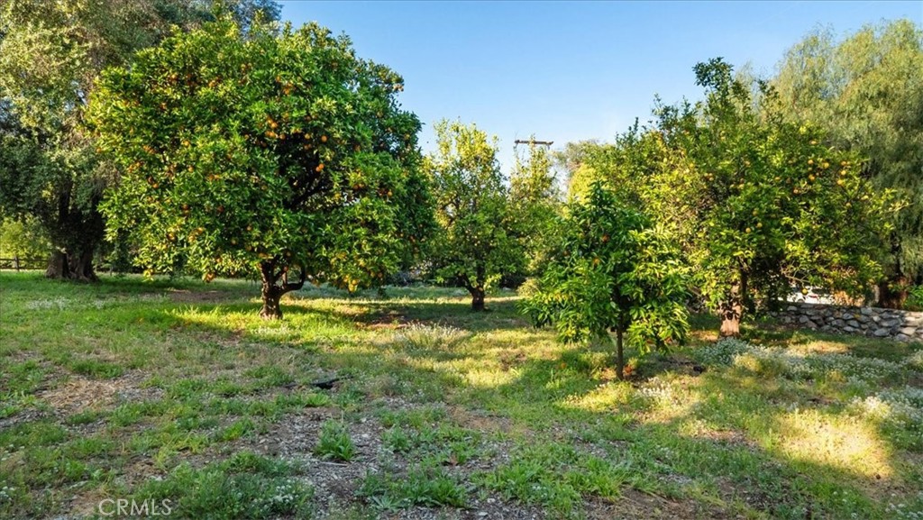 https://media.crmls.org/medias/b56bfc7c-ba52-4b15-8f4a-770d8a279b2d.jpg?preset=X-Large