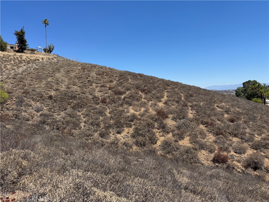 MLS #SW25170970 image #6