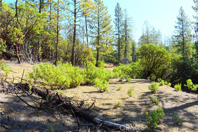 Detail Gallery Image 43 of 48 For 0 Incense Cedar Trl, Groveland,  CA 95321 - – Beds | – Baths