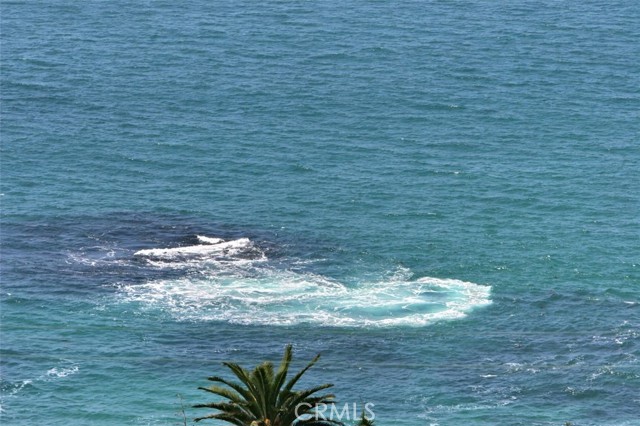 Detail Gallery Image 51 of 67 For 30851 Marilyn Dr, Laguna Beach,  CA 92651 - 3 Beds | 2 Baths