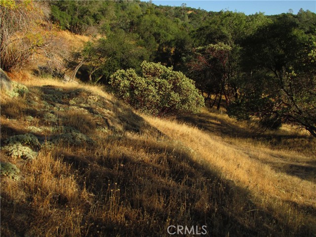 Detail Gallery Image 42 of 54 For 2 Ac Old Oaks Ct, North Fork,  CA 93643 - – Beds | – Baths