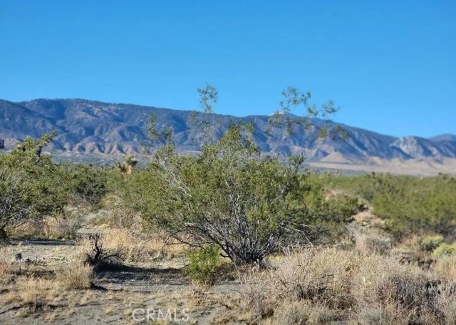 Detail Gallery Image 1 of 1 For 0 0, Pinon Hills,  CA 92372 - – Beds | – Baths