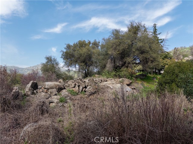 Detail Gallery Image 49 of 49 For 38758 Aster, Squaw Valley,  CA 93675 - 3 Beds | 2/1 Baths