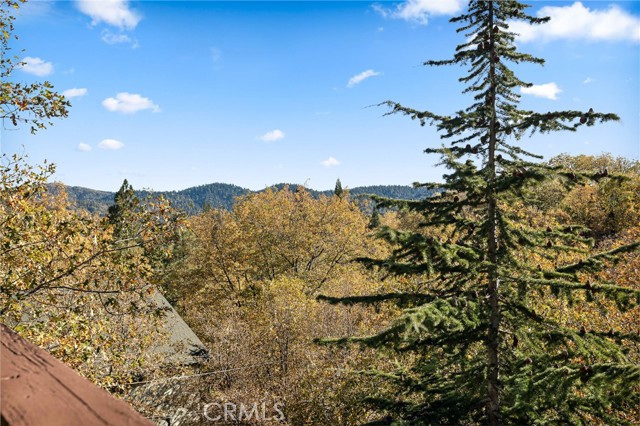 Detail Gallery Image 15 of 26 For 28000 West Shore Rd, Lake Arrowhead,  CA 92352 - 4 Beds | 3/1 Baths