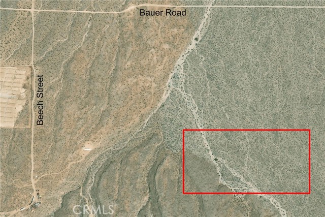 Front Image Thumbnail for CRPI26061175