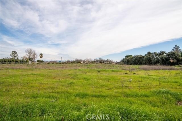 Detail Gallery Image 7 of 10 For 0 Edith Ave, Corning,  CA 96080 - – Beds | – Baths