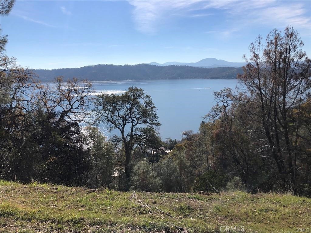 11725 Lakeview Drive, Clearlake Oaks, CA 95423
