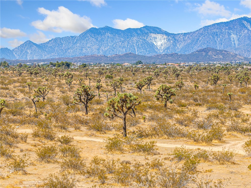 MLS #HD25155418 image #7