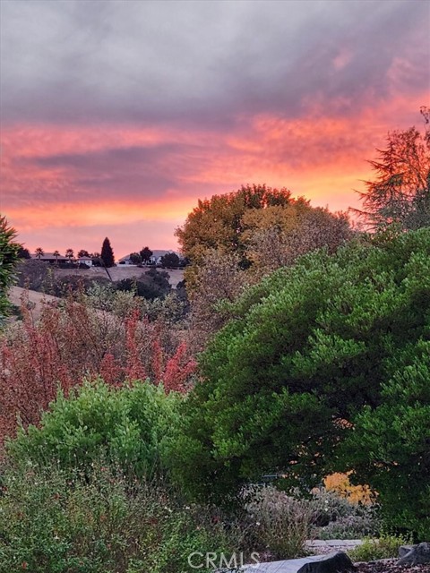 2035 Calle Pattito, Templeton CA: https://media.crmls.org/medias/b594da34-08e1-4887-8bbe-74d44a8c2ff5.jpg