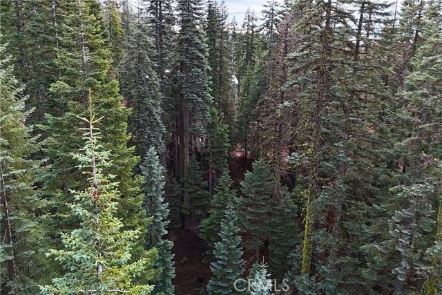 Detail Gallery Image 4 of 14 For 1100 Cleghorn Dr, Quincy,  CA 95971 - – Beds | – Baths