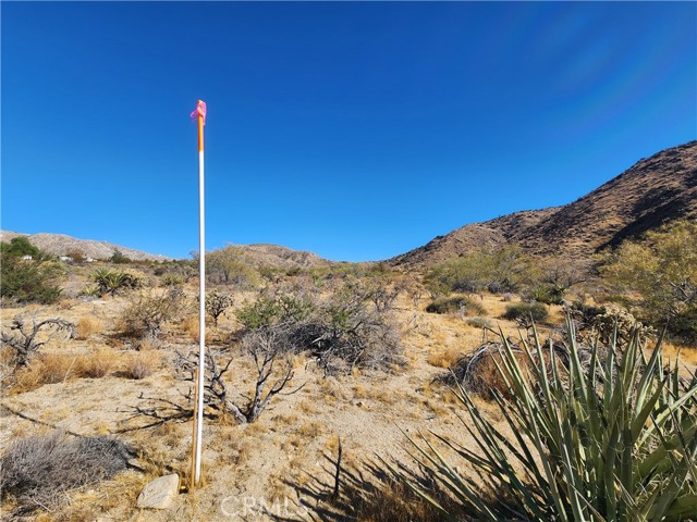 Detail Gallery Image 13 of 19 For 29 Palms Hwy, Morongo Valley,  CA 92256 - – Beds | – Baths