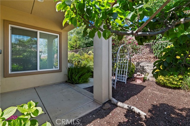 Detail Gallery Image 25 of 35 For 24177 Watercress Dr, Corona,  CA 92883 - 2 Beds | 2 Baths