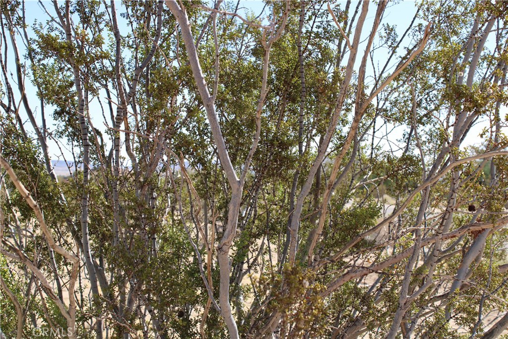 MLS #OC25184360 image #9