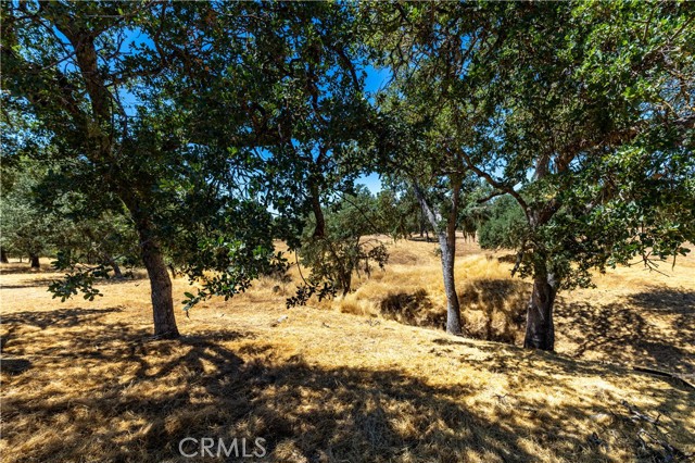 Detail Gallery Image 62 of 74 For 1735 Southfork Pl, Paso Robles,  CA 93446 - 4 Beds | 3 Baths