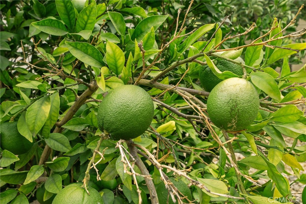 https://media.crmls.org/medias/b5bf8e63-f791-45f8-8f68-c31d65e18a1b.jpg?preset=X-Large