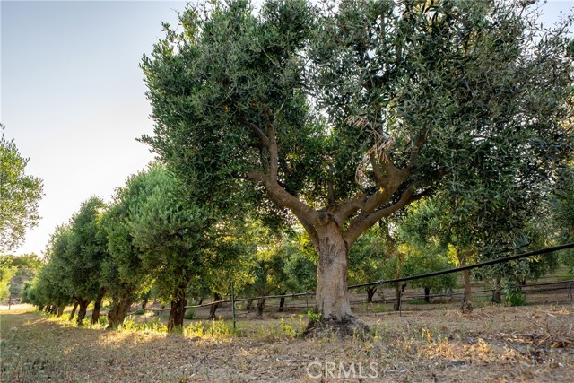 5015 Stagg Hill Place, Paso Robles CA: https://media.crmls.org/medias/b5c3c788-5300-4d6a-bc32-3d15b6214770.jpg