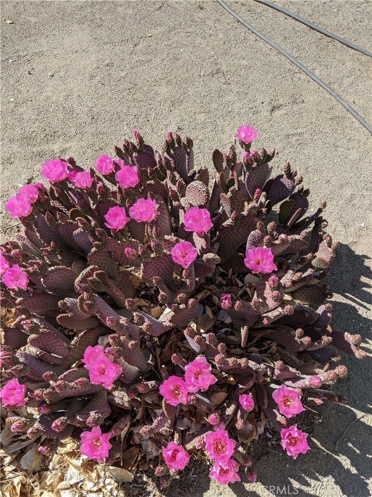 https://media.crmls.org/medias/b5c42220-b782-4f9a-af4d-936e84f9e165.jpg?preset=X-Large