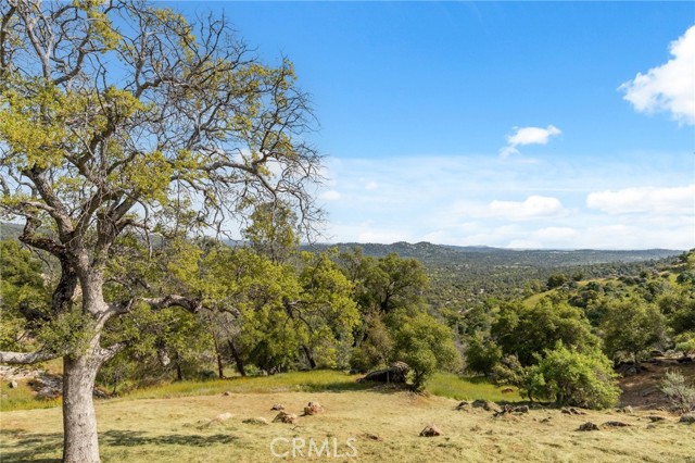 Detail Gallery Image 28 of 55 For 31021 Blue Heron, Coarsegold,  CA 93614 - 4 Beds | 3 Baths