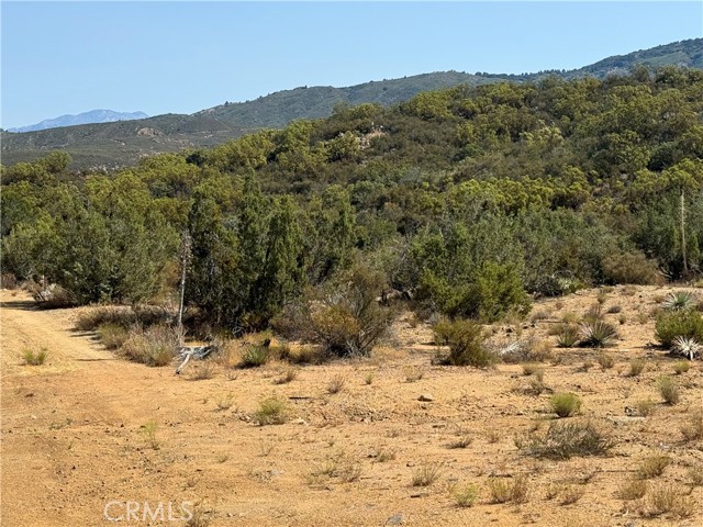 20 Comanche Trail, Anza, California 92539, ,Land,For Sale,20 Comanche Trail,CRSW22245603