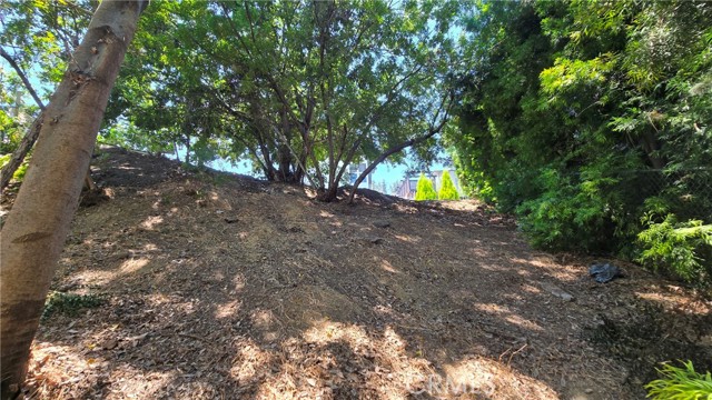 Detail Gallery Image 12 of 16 For 631 N Avenue 48, Los Angeles,  CA 90042 - – Beds | – Baths