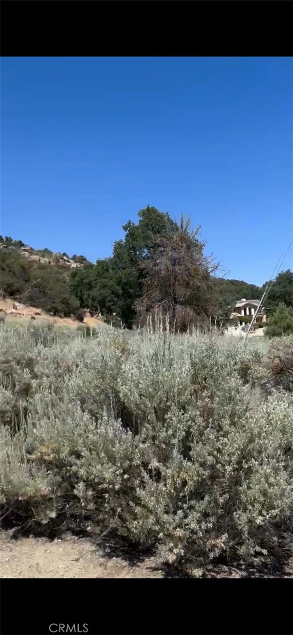 Detail Gallery Image 3 of 5 For 24151 Jacaranda Dr, Tehachapi,  CA 93561 - – Beds | – Baths