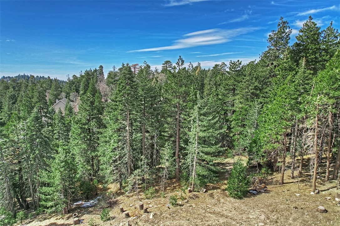 0 Cedar Brook Drive, Twin Peaks, California 92391, ,Land,For Sale,0 Cedar Brook Drive,CRRW23028567