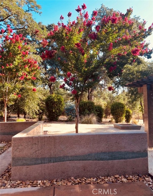 Detail Gallery Image 51 of 74 For 1001 Louis Way, Lakeport,  CA 95453 - 3 Beds | 2/1 Baths