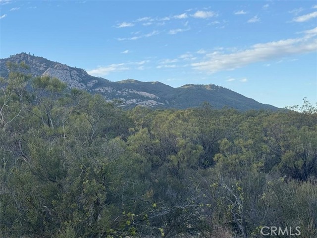 0 Springbrook Trail, Anza CA: https://media.crmls.org/medias/b5d8704c-cc1e-47c3-8350-148b3bd947ea.jpg