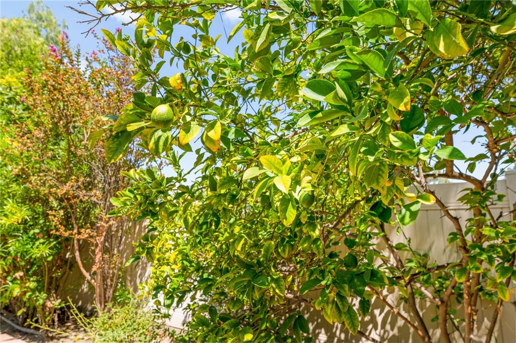 https://media.crmls.org/medias/b5e07740-511f-43a3-9e2e-f8b5bbd15f84.jpg?preset=X-Large