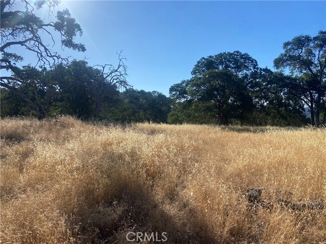0 State Hwy 140, Mariposa CA: https://media.crmls.org/medias/b5e07b2e-f067-4c3a-97f5-4a334a2b0d8d.jpg