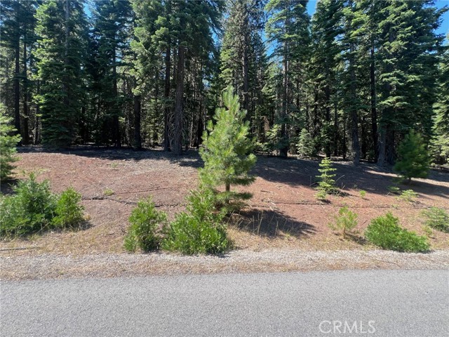 Detail Gallery Image 10 of 11 For 217 Snowy Peak Way, Lake Almanor,  CA 96137 - – Beds | – Baths