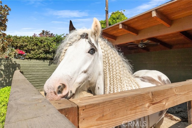 1321 W Morningside Drive, Burbank CA: https://media.crmls.org/medias/b5ed9dde-9a31-4e8e-a1ef-09bc1cd9b480.jpg